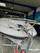 Europe Marina Auster 680 BILD 5